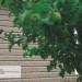 Сайдинг Ю-Пласт TIMBERBLOCK Пихта (Тимберблок) Cахалинская купить в Артеме